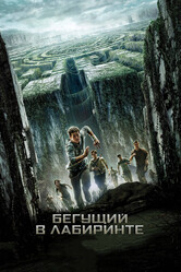 Бегущий в лабиринте / The Maze Runner